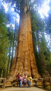 5 life lessons from The Giant Sequoias