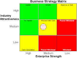 business strategy matrix