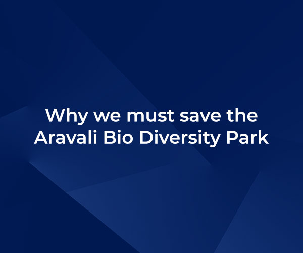 Why we must save the Aravali Bio Diversity Park